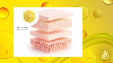 Infographic showing skin layers being targeted by next generation retinal exosome particles