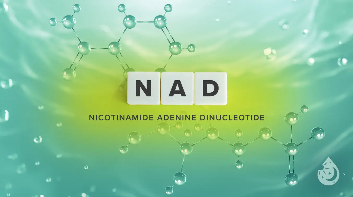 NAD+ Skincare Explained: How Cellular Energy Support Fits Into an Anti-Aging Routine
