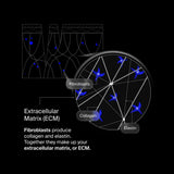 Pavise Extracellular Matrix Restore