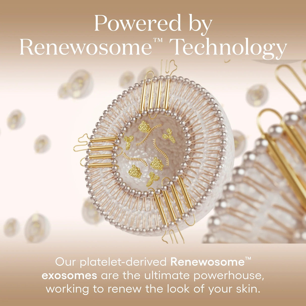 Plated DAILY Serum powered by Renewosome Technology with one trillion exosomes per bottle.