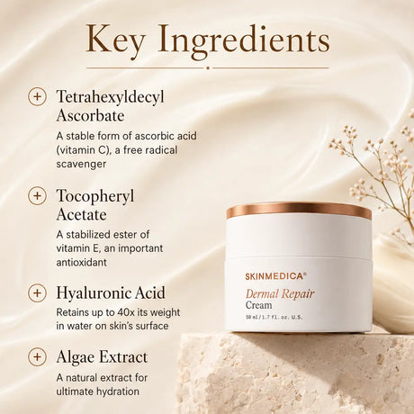 A graphic with the title 'Key Ingredients' on a warm cream background. The image lists ingredients including Tetrahexyldecyl Ascorbate, Tocopheryl Acetate, Hyaluronic Acid, and Algae Extract, alongside a white jar of SkinMedica Dermal Repair Cream with a metallic gold lid resting on a stone pedestal.