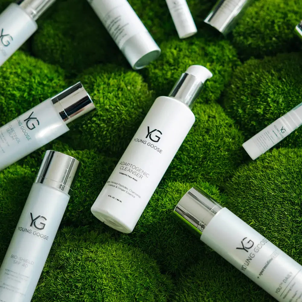A flat-lay arrangement of Young Goose skincare bottles on a textured green moss background. Featuring Younglood Adaptogenic Cleanser.