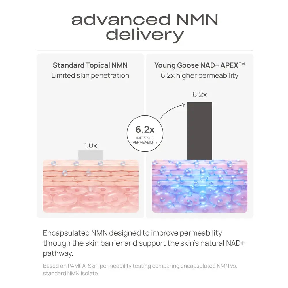 An infographic comparing standard topical NMN with Young Goose NAD+ APEX™, showing text, permeability claims, and skin barrier diagrams with pink and blue visual representations.