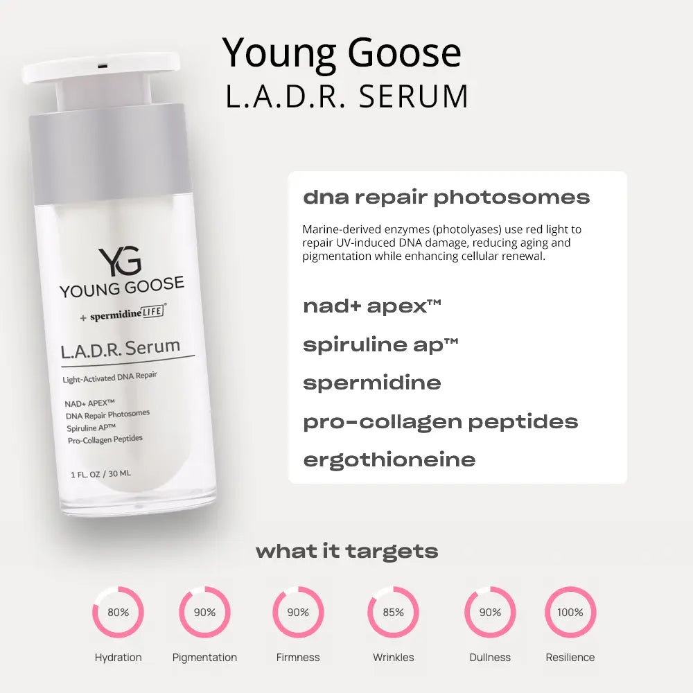 Young Goose L.A.D.R. Serum ingredients and what it targets