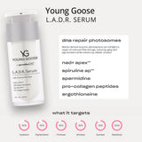 Young Goose L.A.D.R. Serum ingredients and what it targets